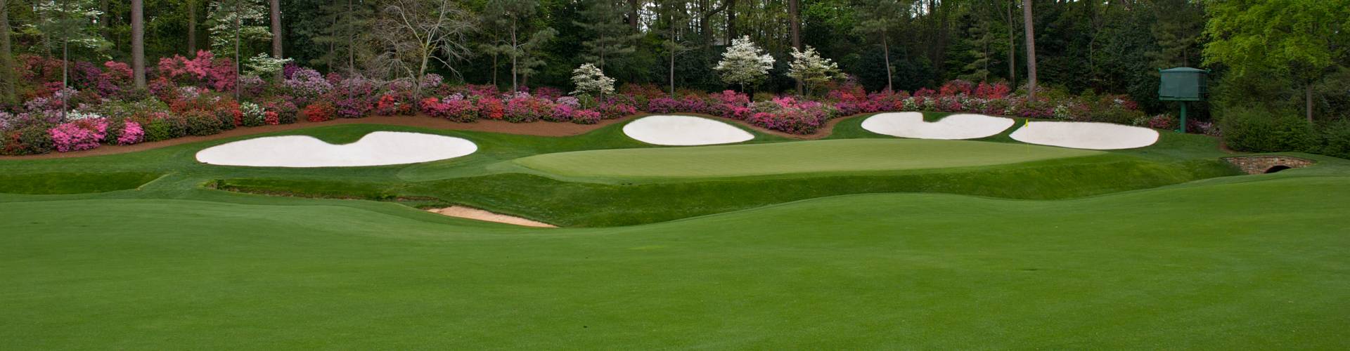 PGA Pros Take On Greens